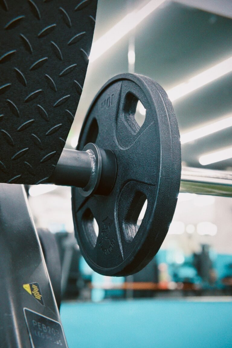 Weight plates for progressive overload and resistance training