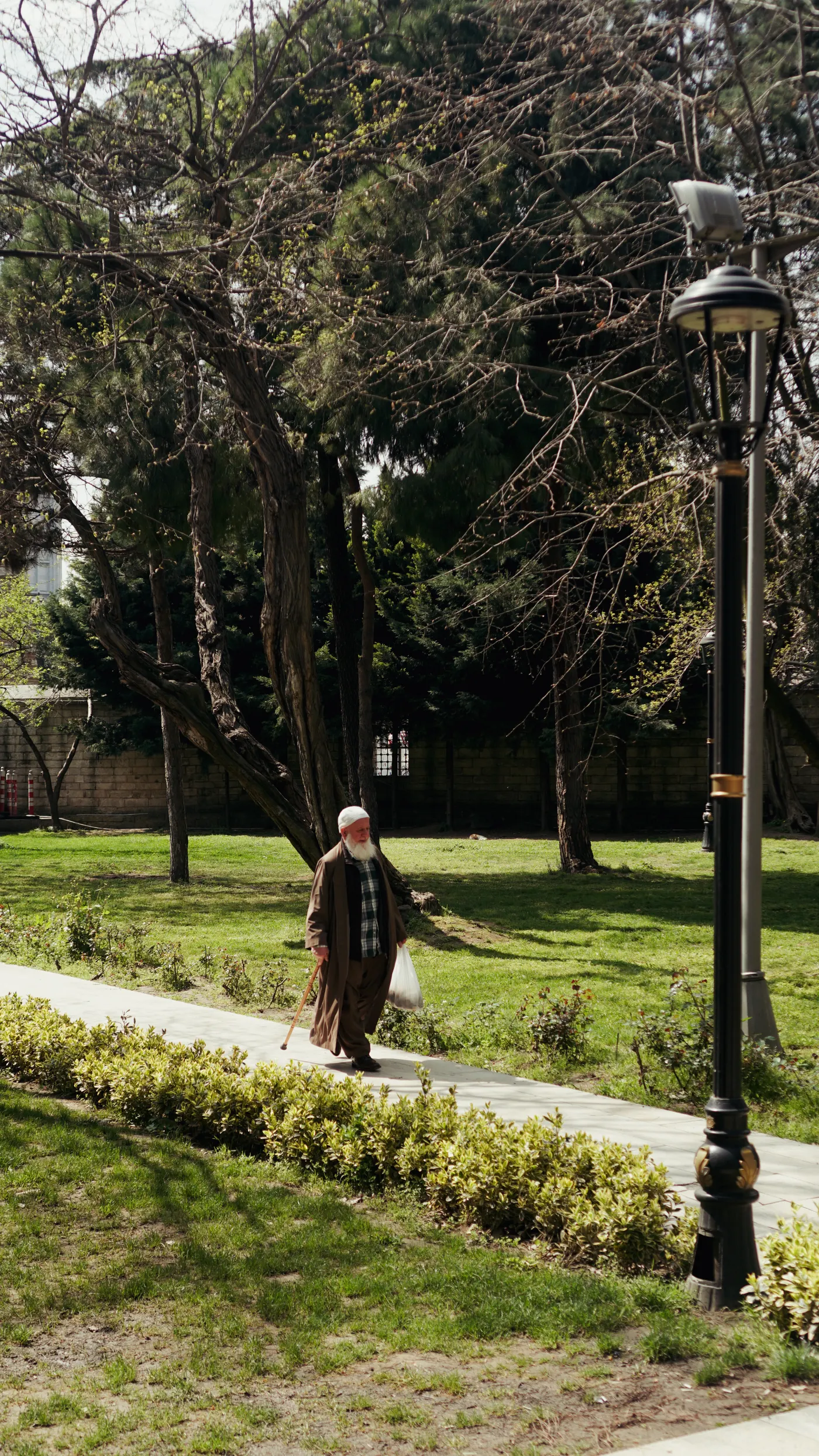 Older man walking on a sunny park path as a manageable activity
