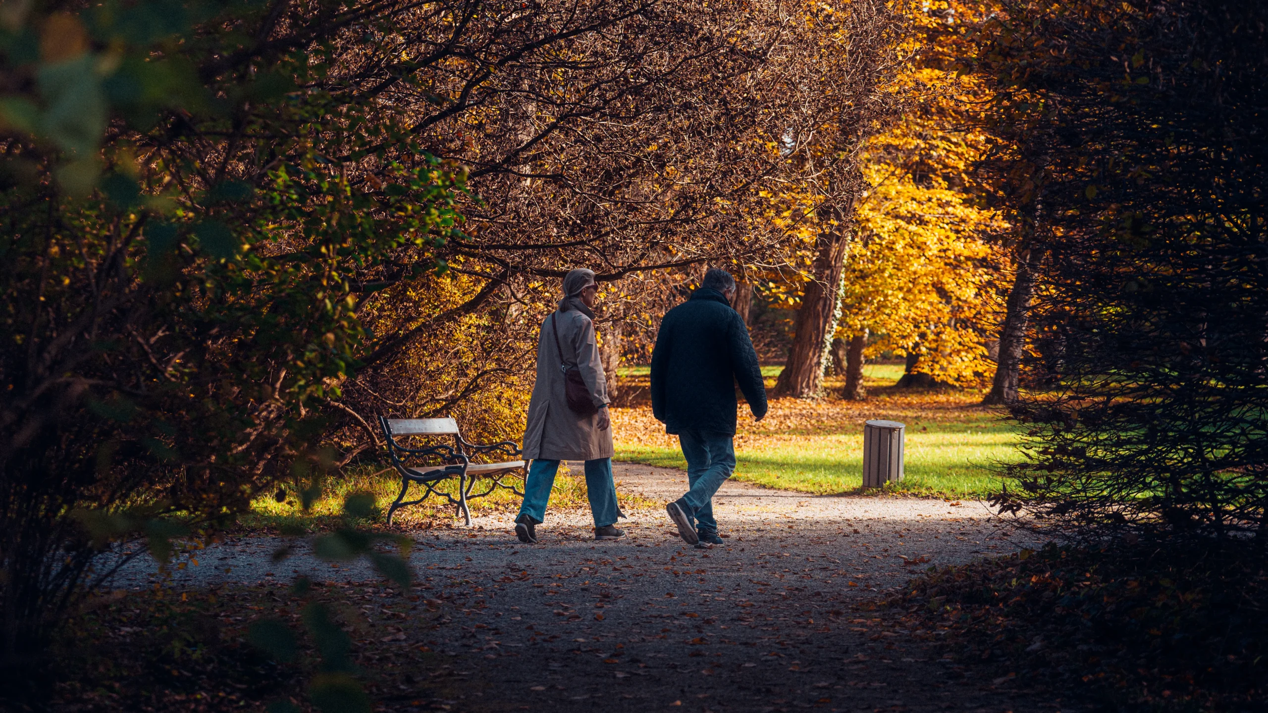 Older couple walking together on a tree-lined park path