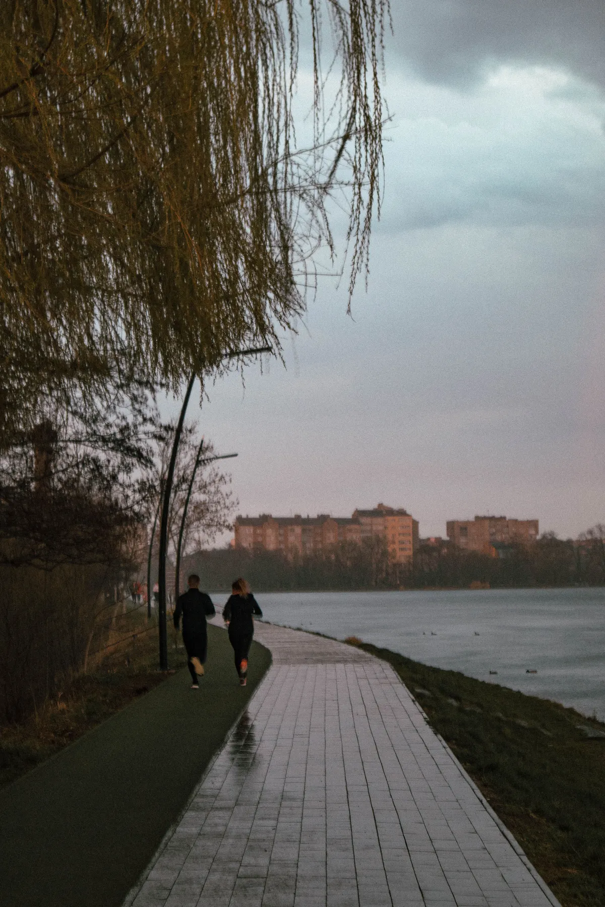 Two runners jogging together outdoors at a sustainable aerobic pace