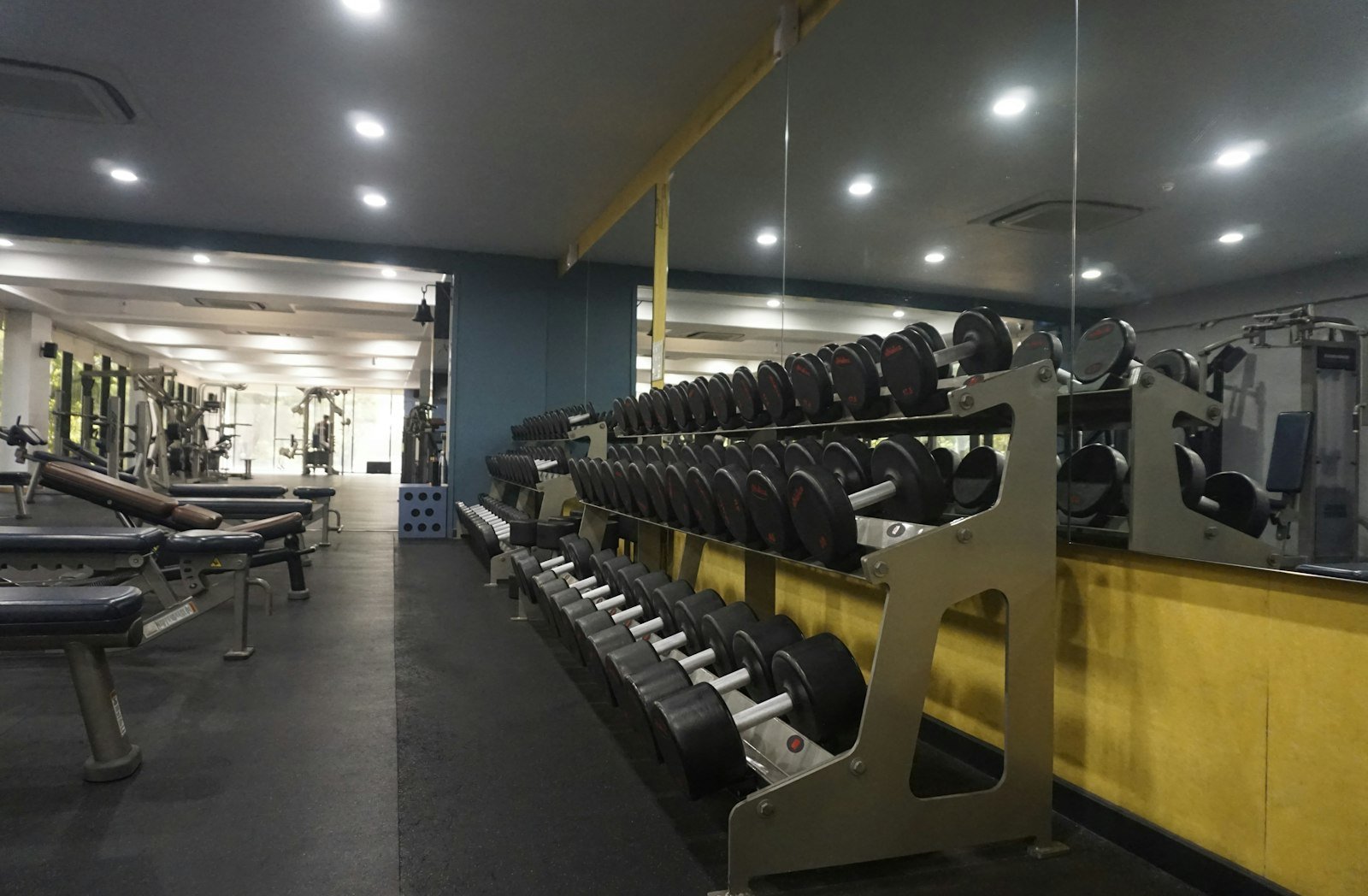 Organized dumbbell rack for repeatable strength workouts