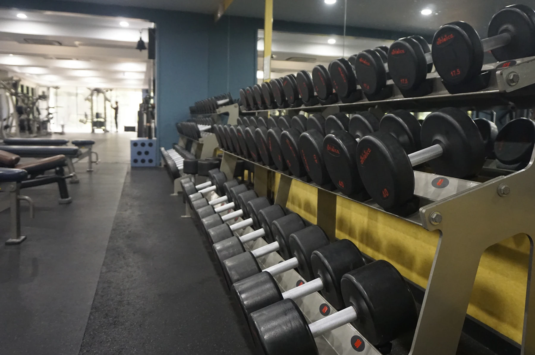 Dumbbells arranged on a rack representing conventional strength equipment