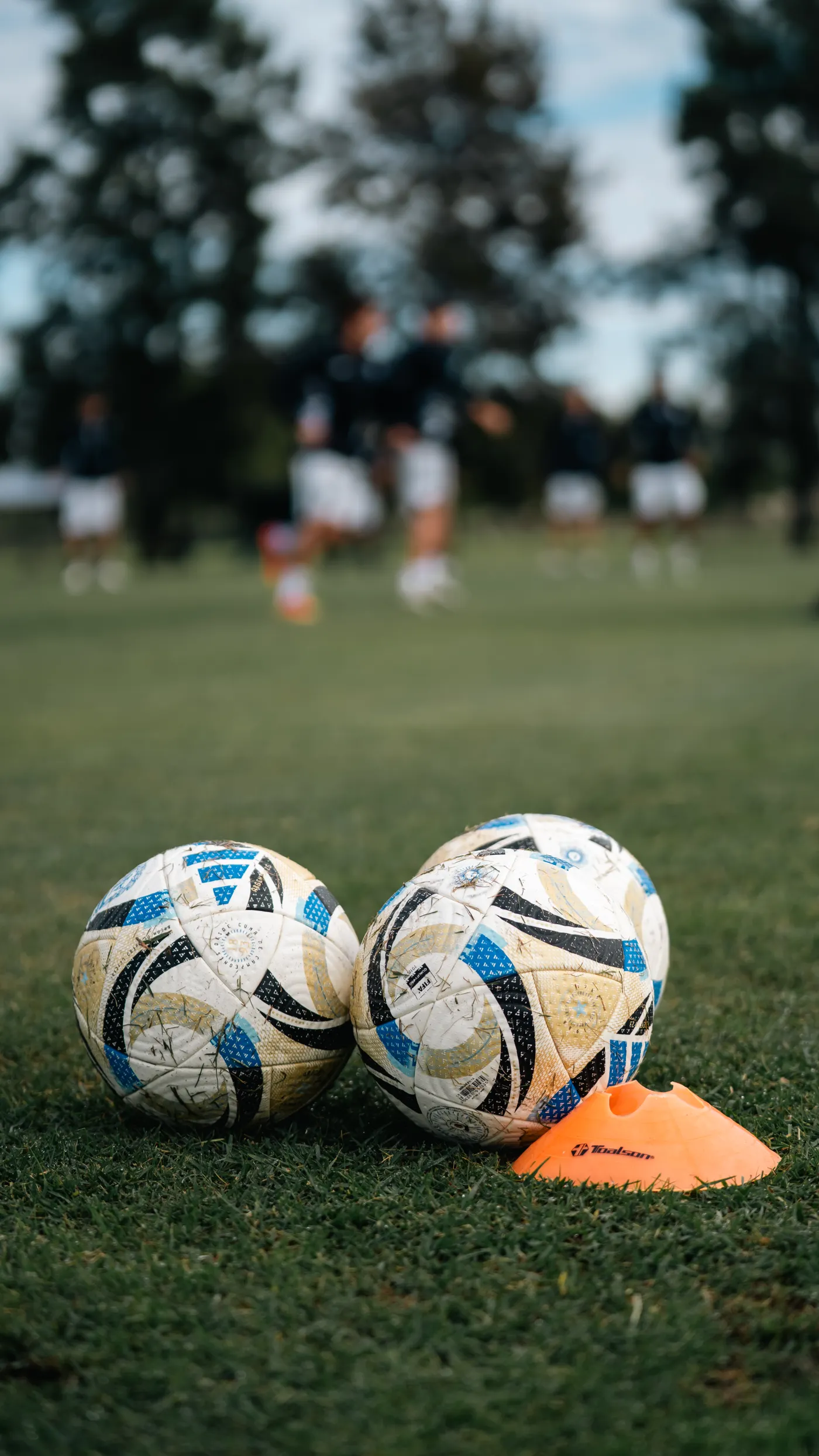 Soccer balls and training cones arranged on a practice field