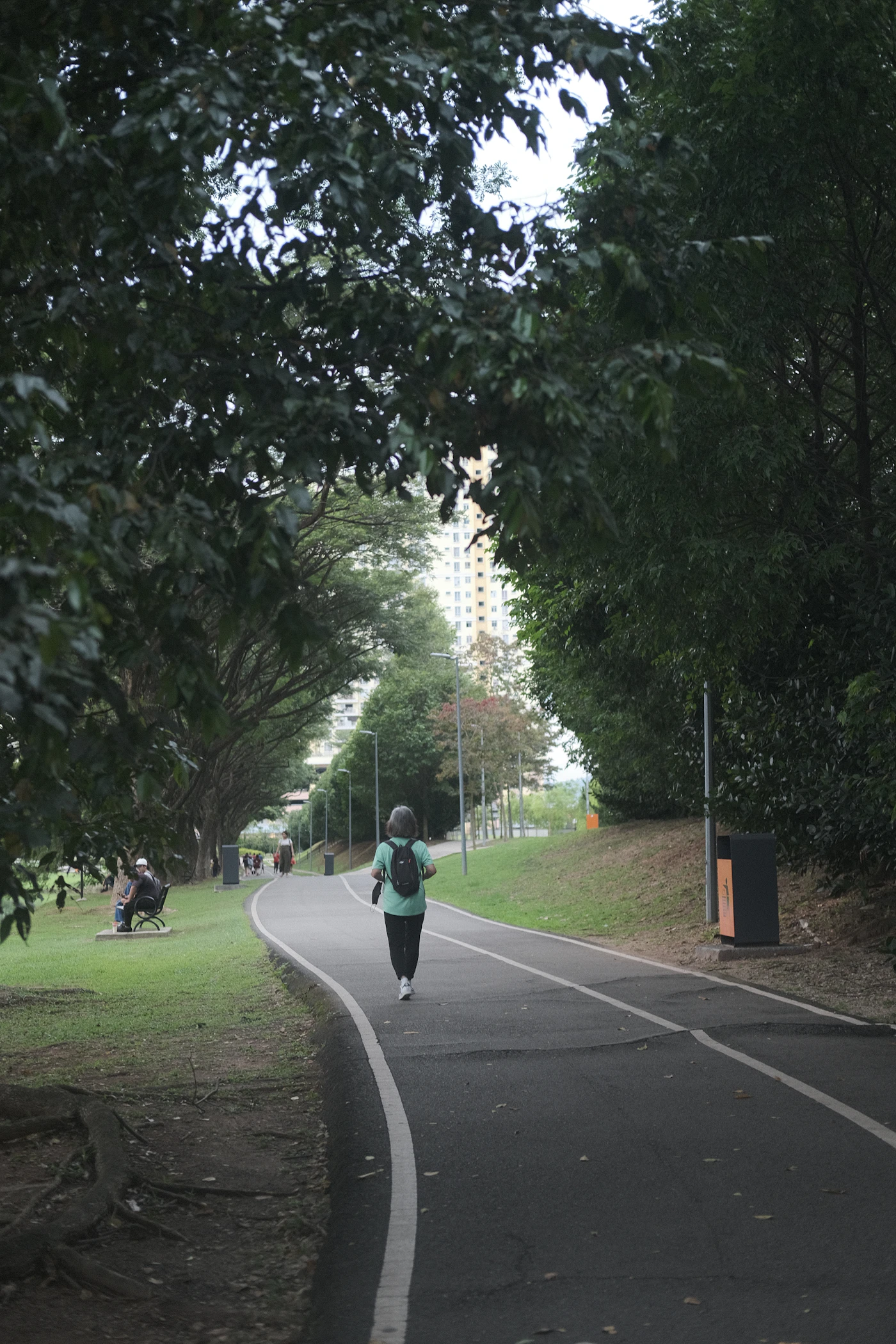 Person exercising on a tree-lined park walking path