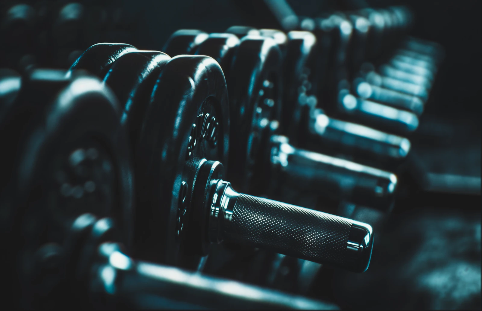 Row of dumbbells prepared for resistance training
