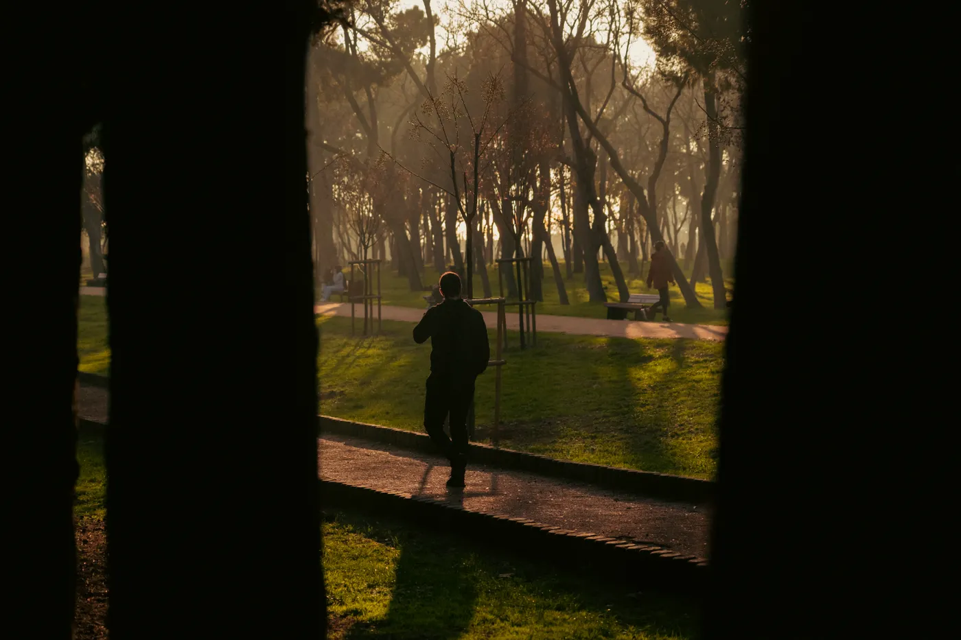 Man walking along a sunlit park path at sunset, illustrating evening exercise