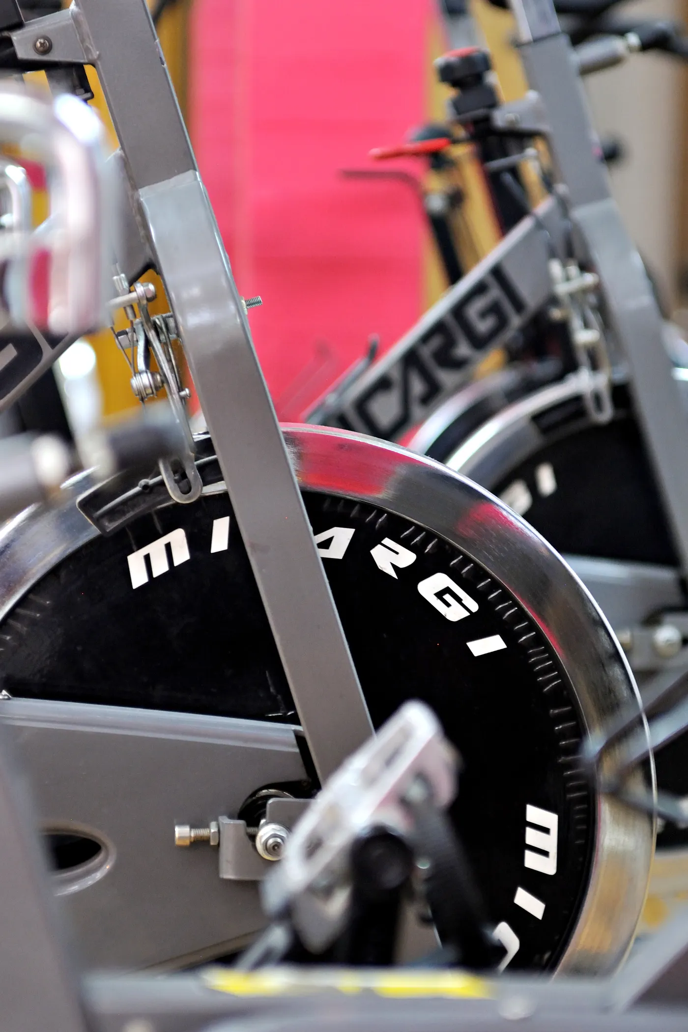 Stationary exercise bikes arranged in a gym