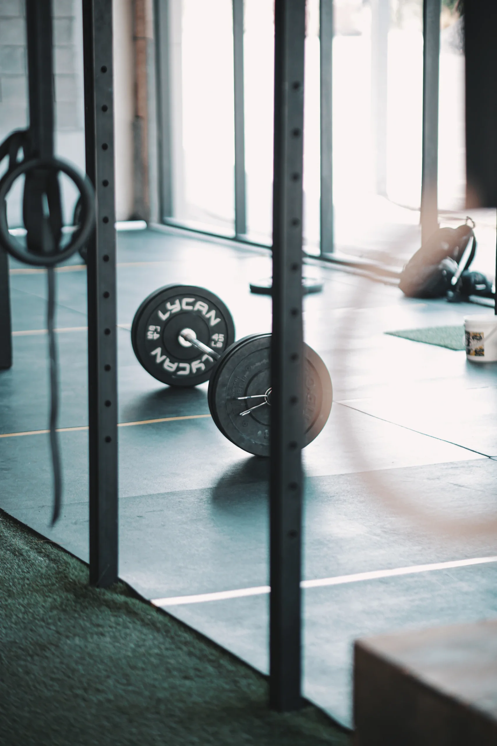 Gym strength training area with barbell and weight plates