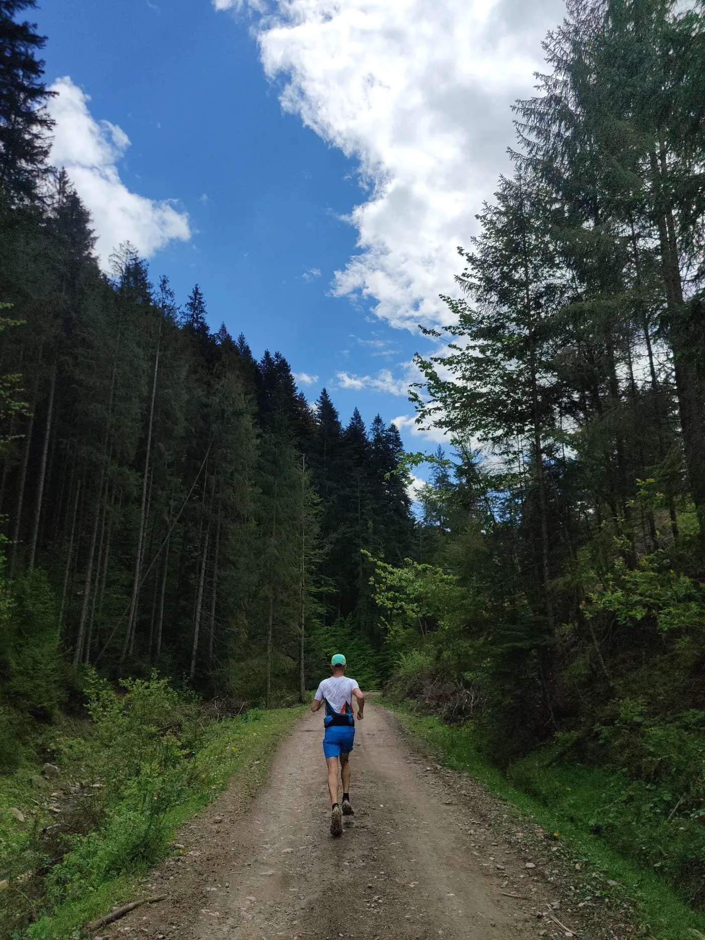 Runner moving along a forest trail, illustrating aerobic fitness