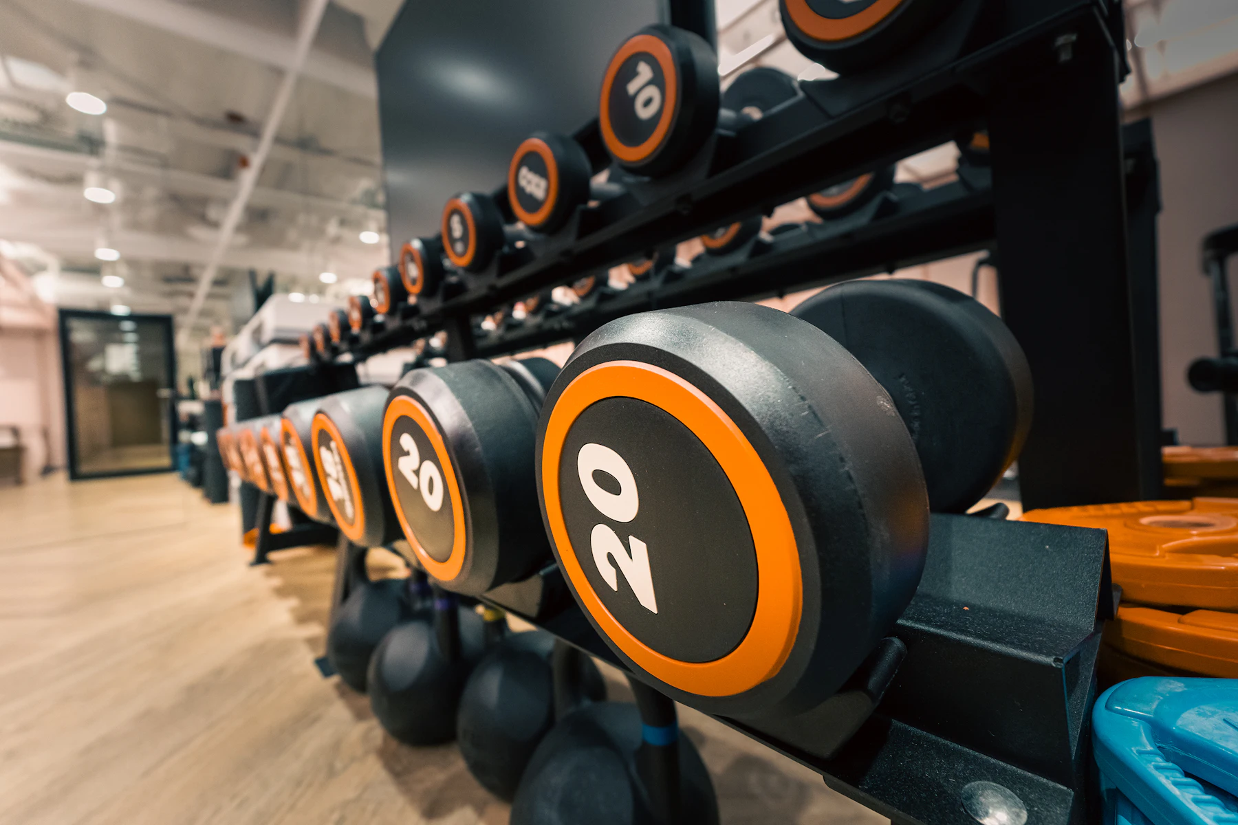 Weights and equipment arranged in a modern strength gym