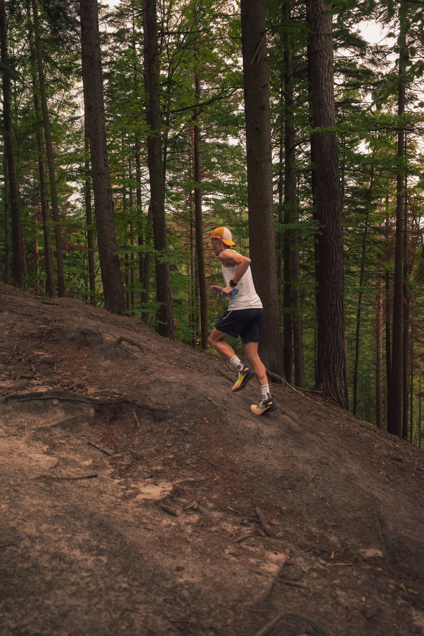 Trail runner climbing a forest path in summer