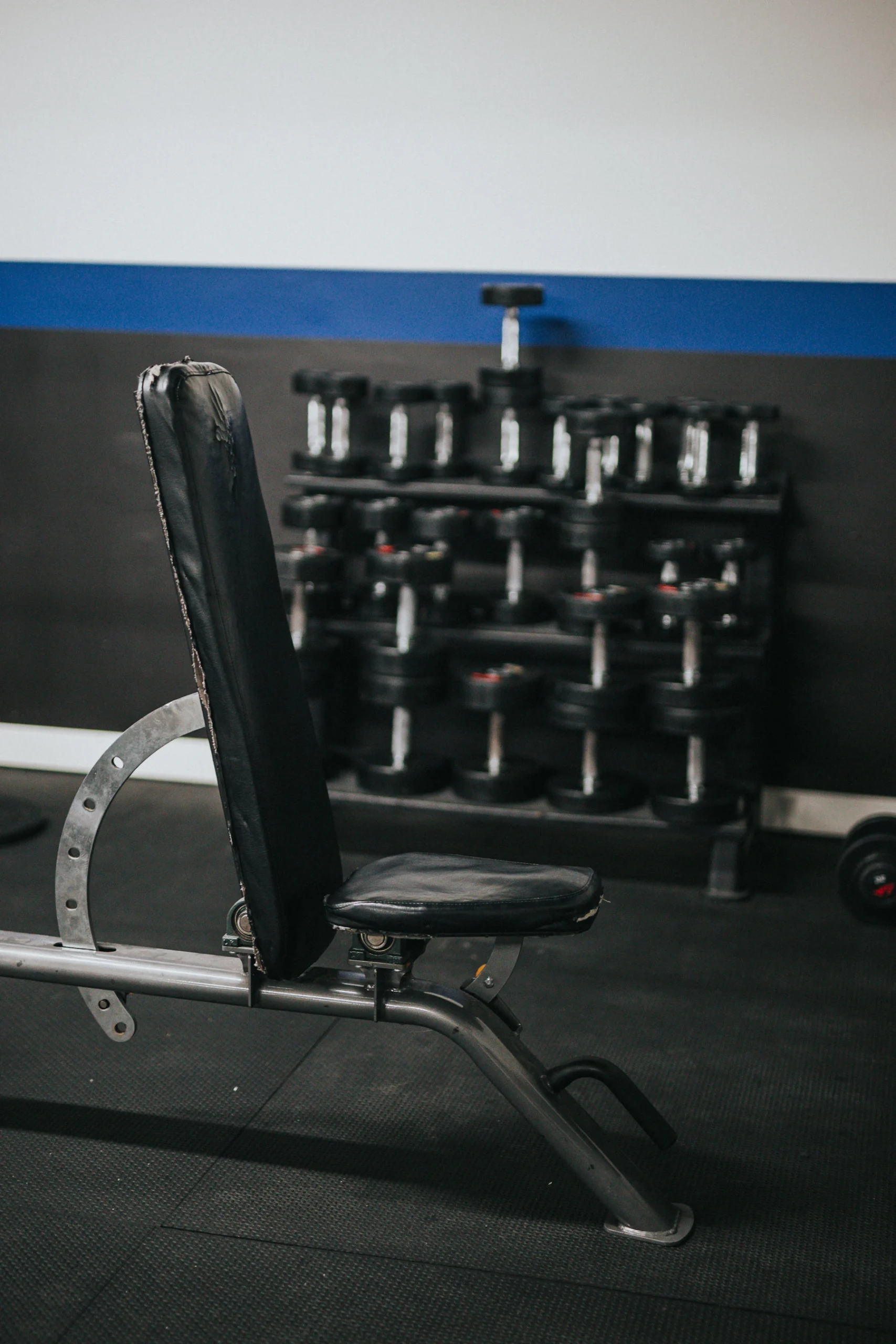 Adjustable weight bench and dumbbells for structured home-gym sessions