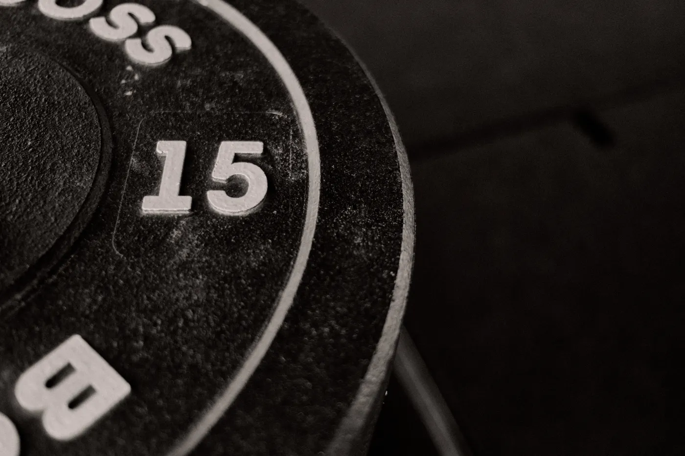 Close-up of a fifteen-pound gym weight plate