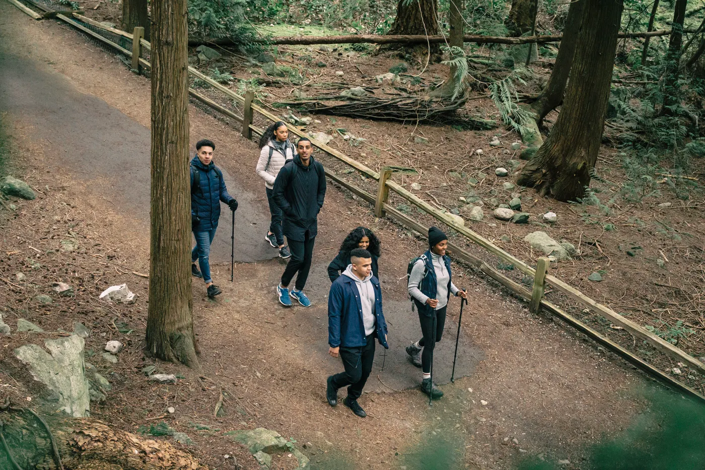 Friends hiking on a forest trail for enjoyable everyday activity