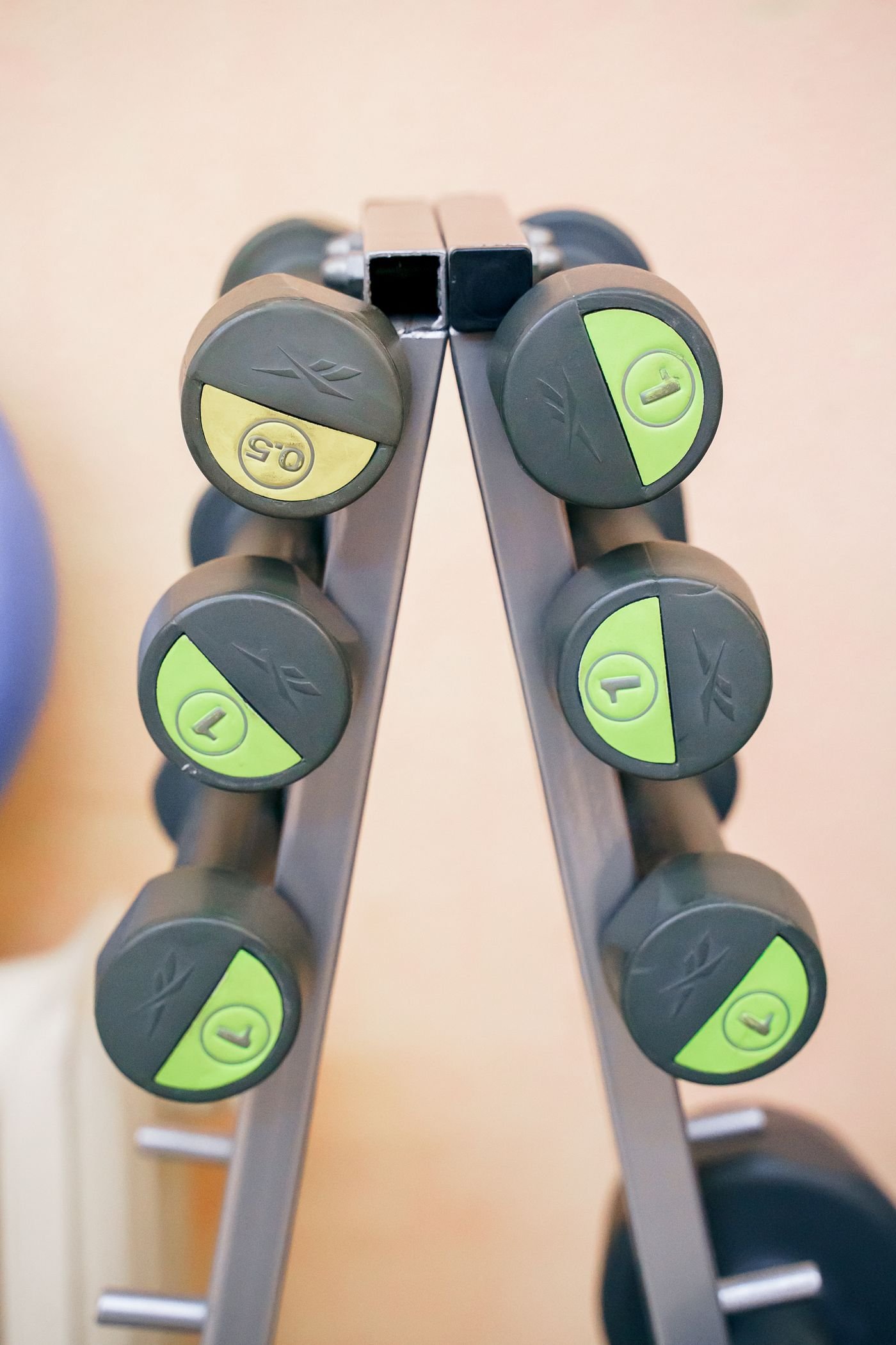 Dumbbells arranged on a gym rack for shoulder training