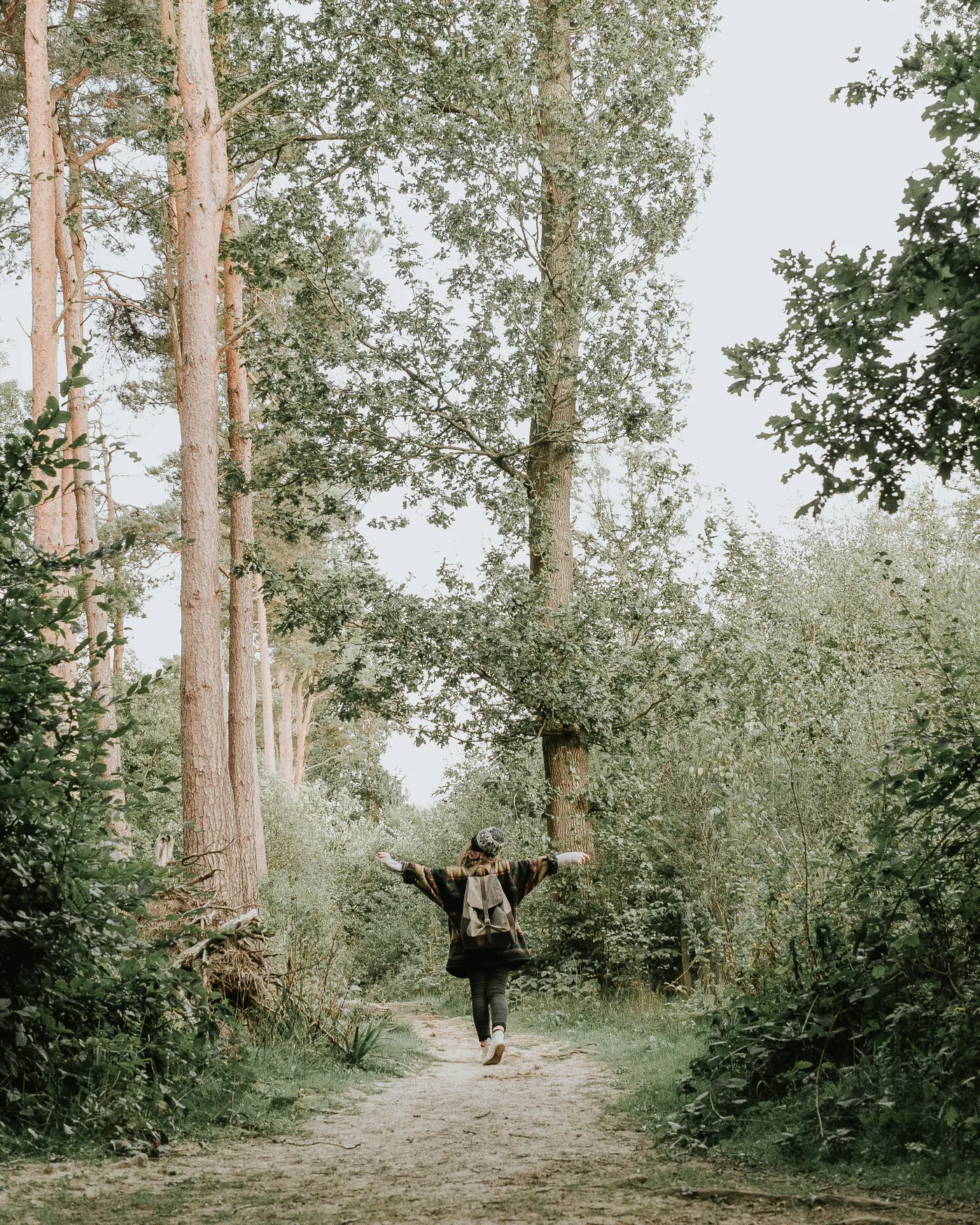 Person walking outdoors along a quiet forest path