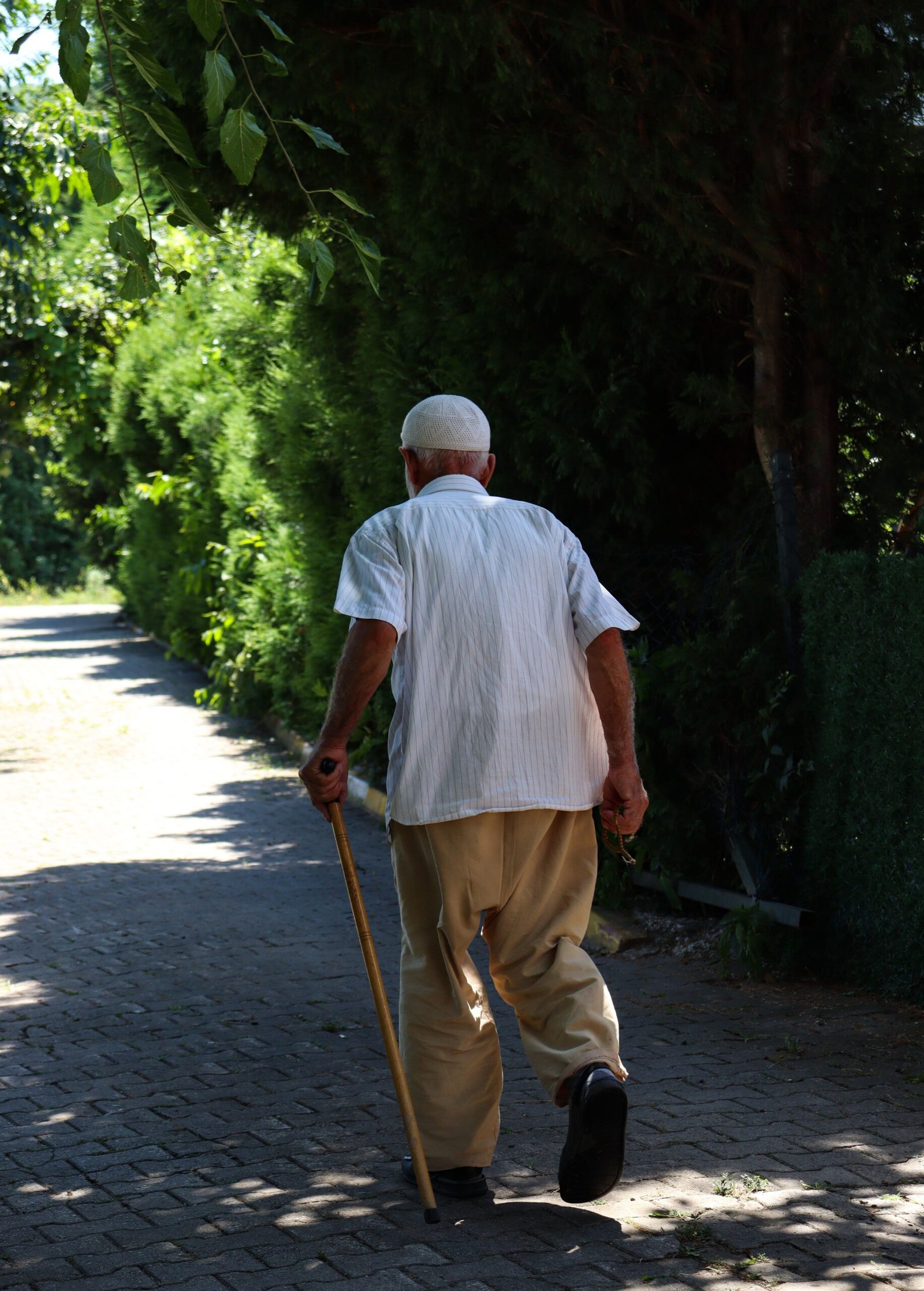Older man walking with a stick along a leafy outdoor path
