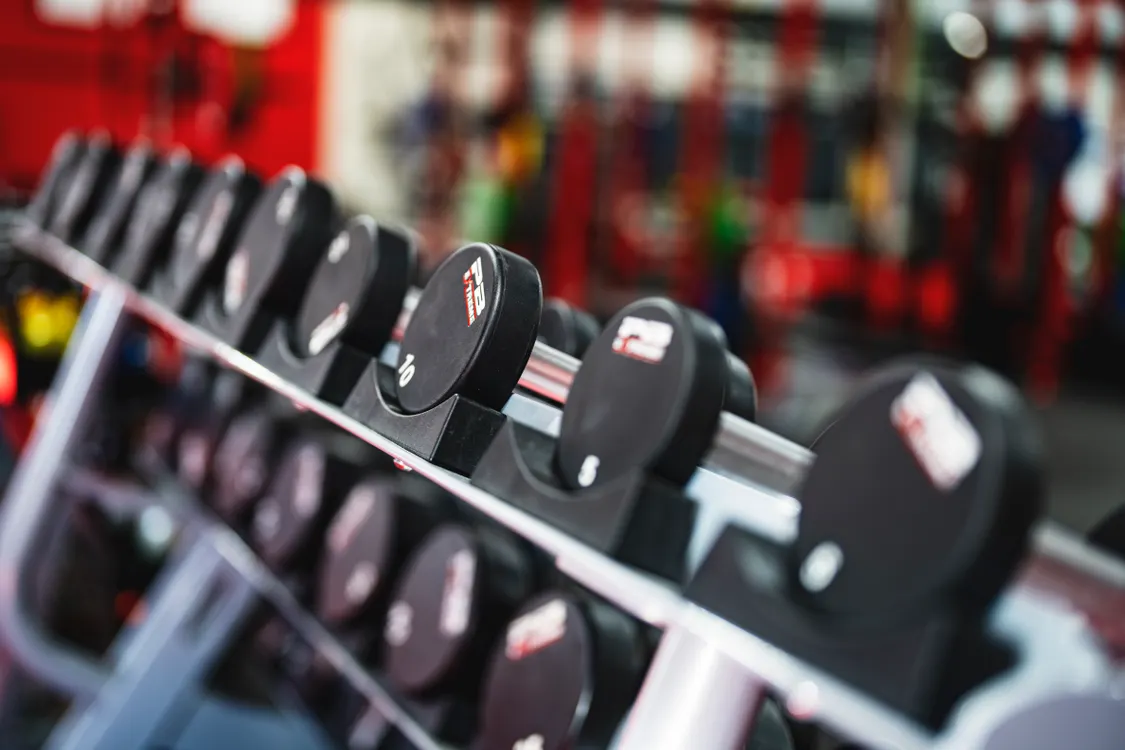 Row of dumbbells ready for a repeatable strength training session