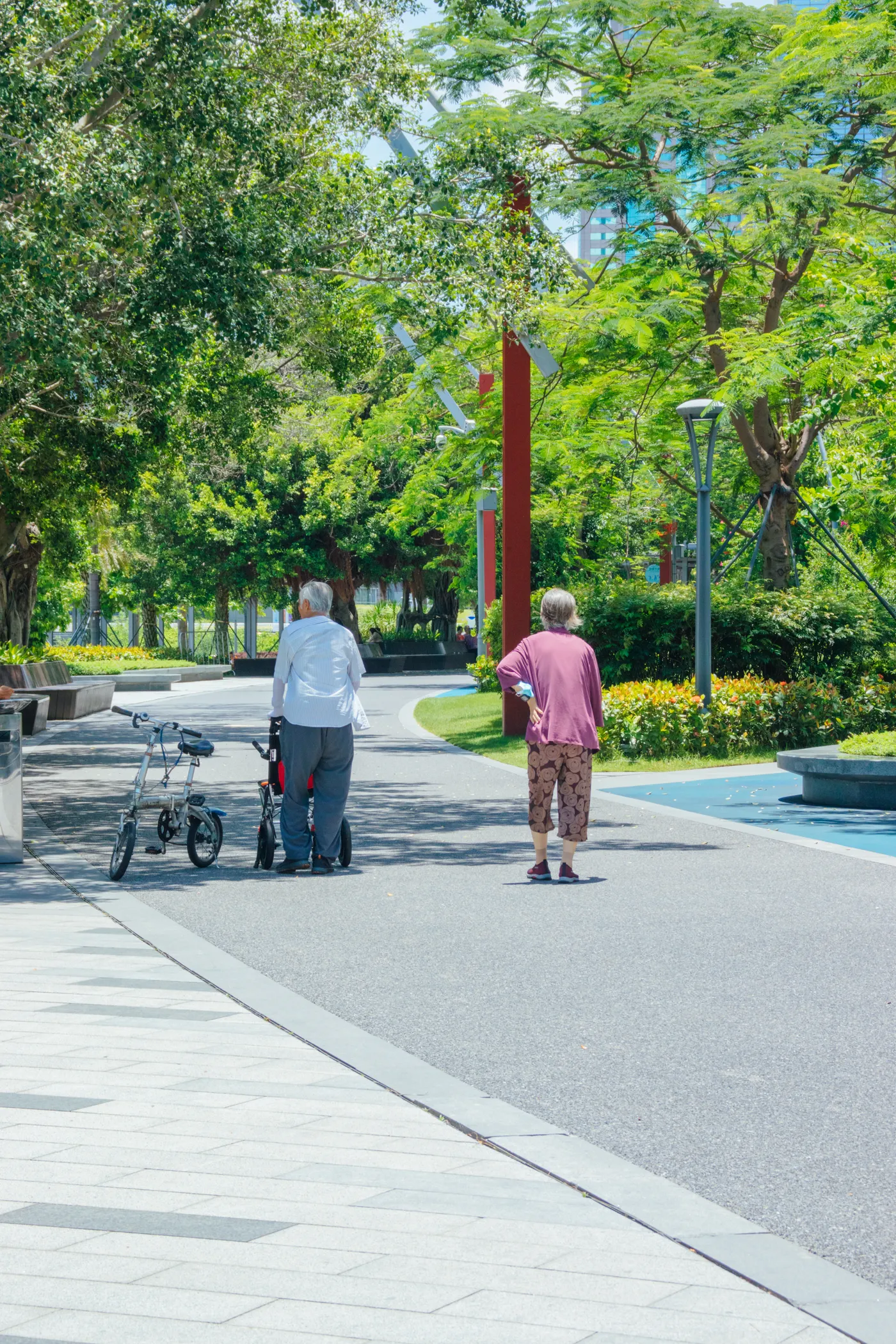 Two older adults walking in a green park