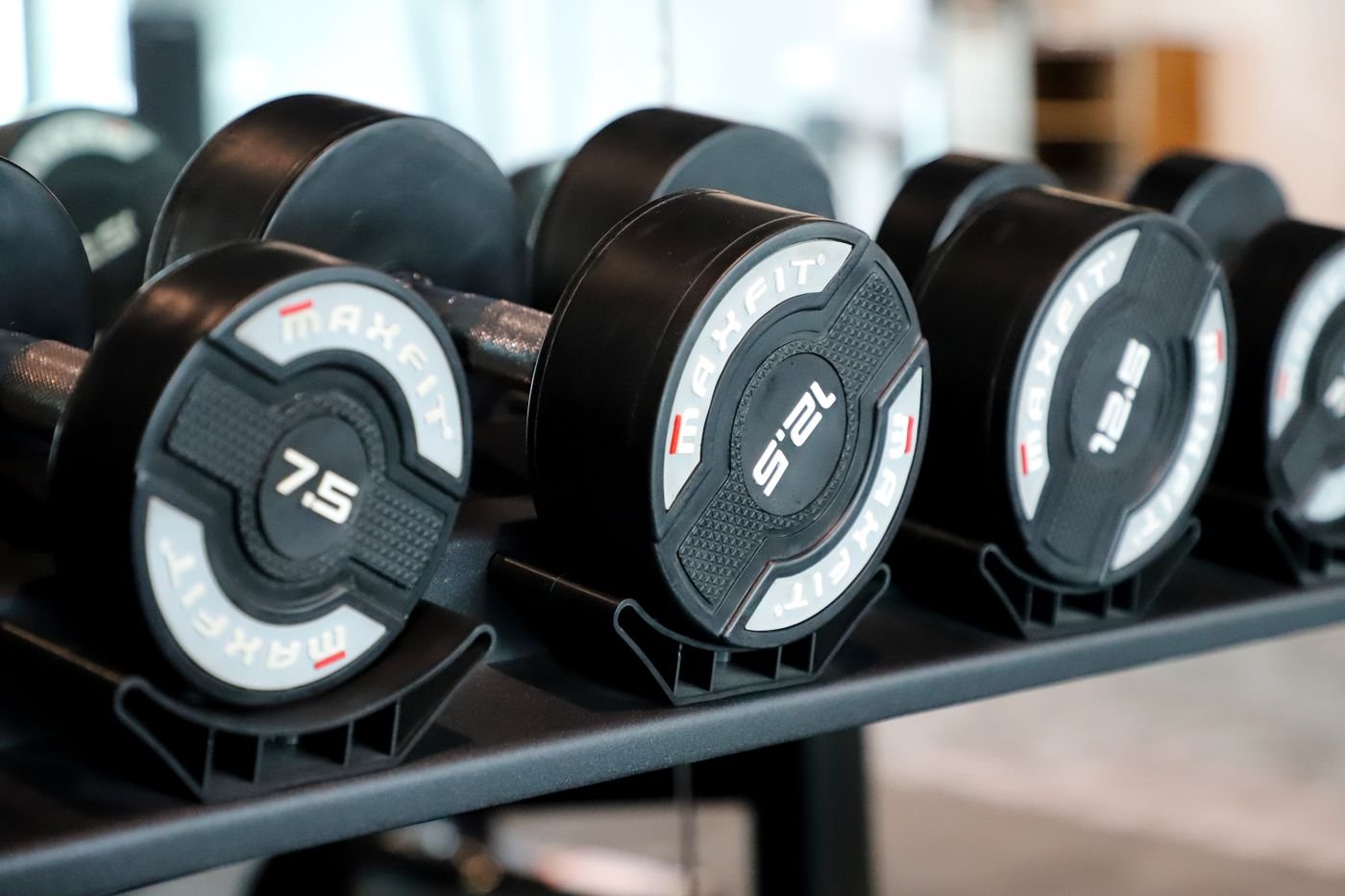 Rows of dumbbells arranged for a progressive training plan