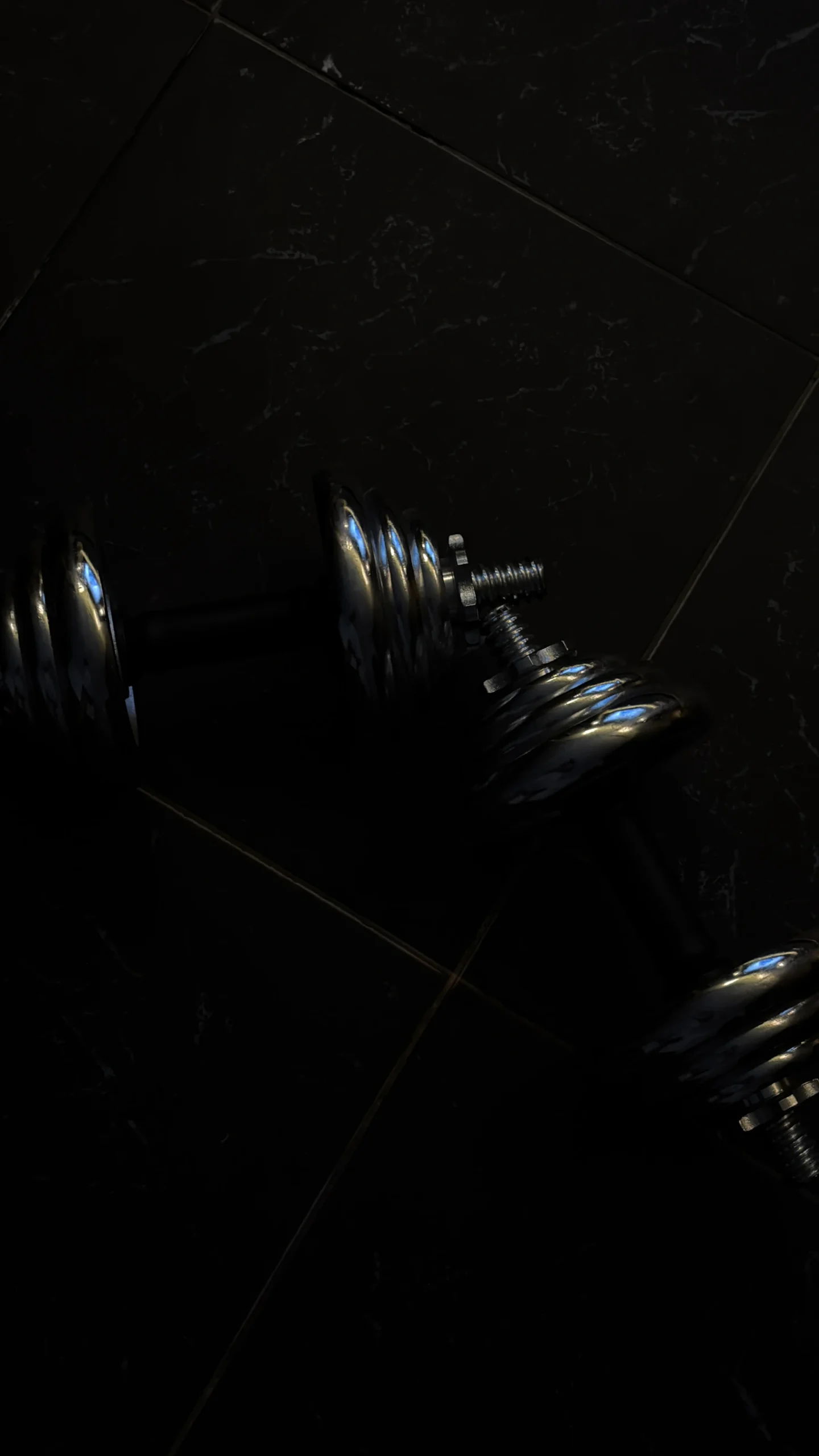 Pair of chrome dumbbells used for progressive strength practice