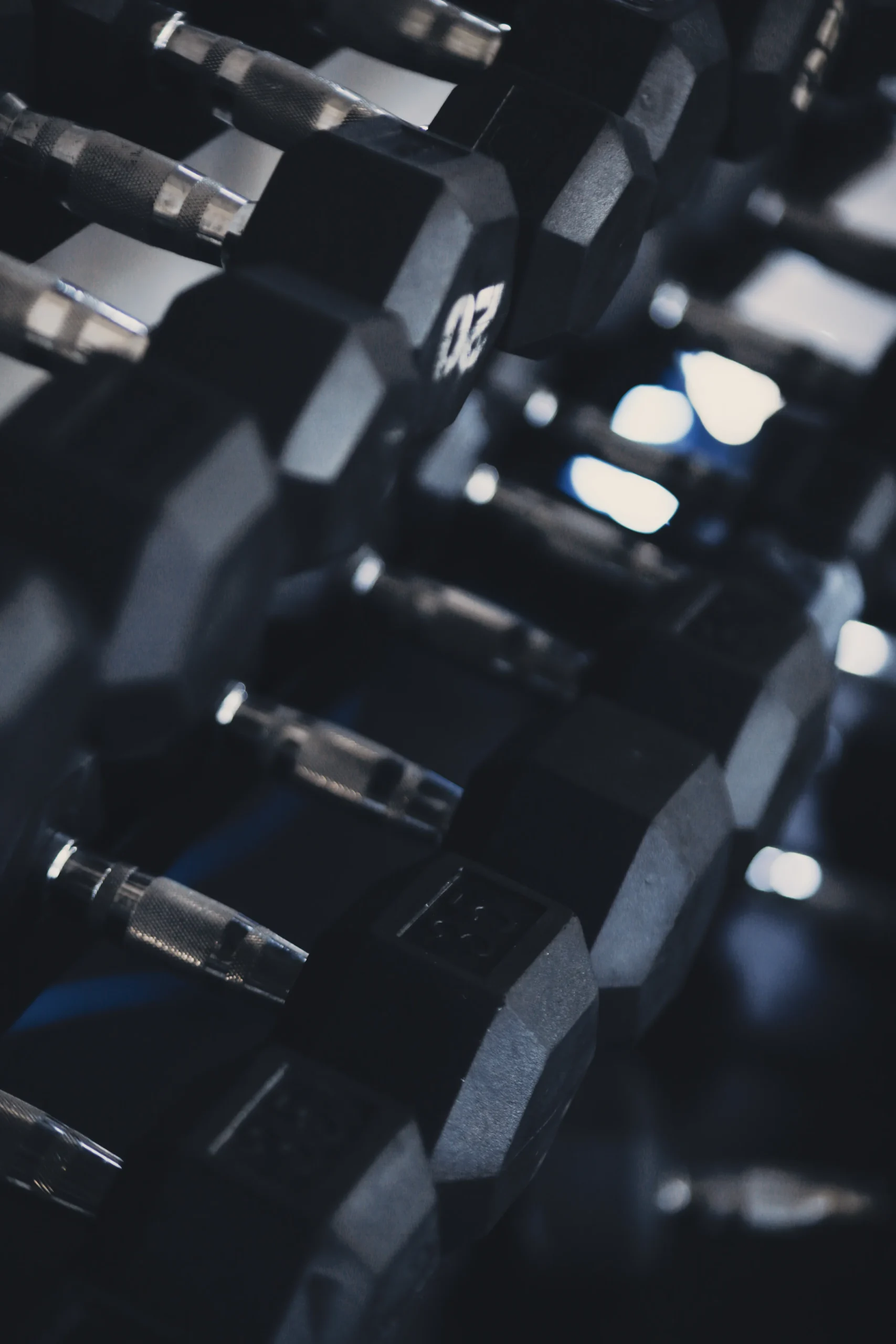 Black dumbbells organized by weight for gradual training progression