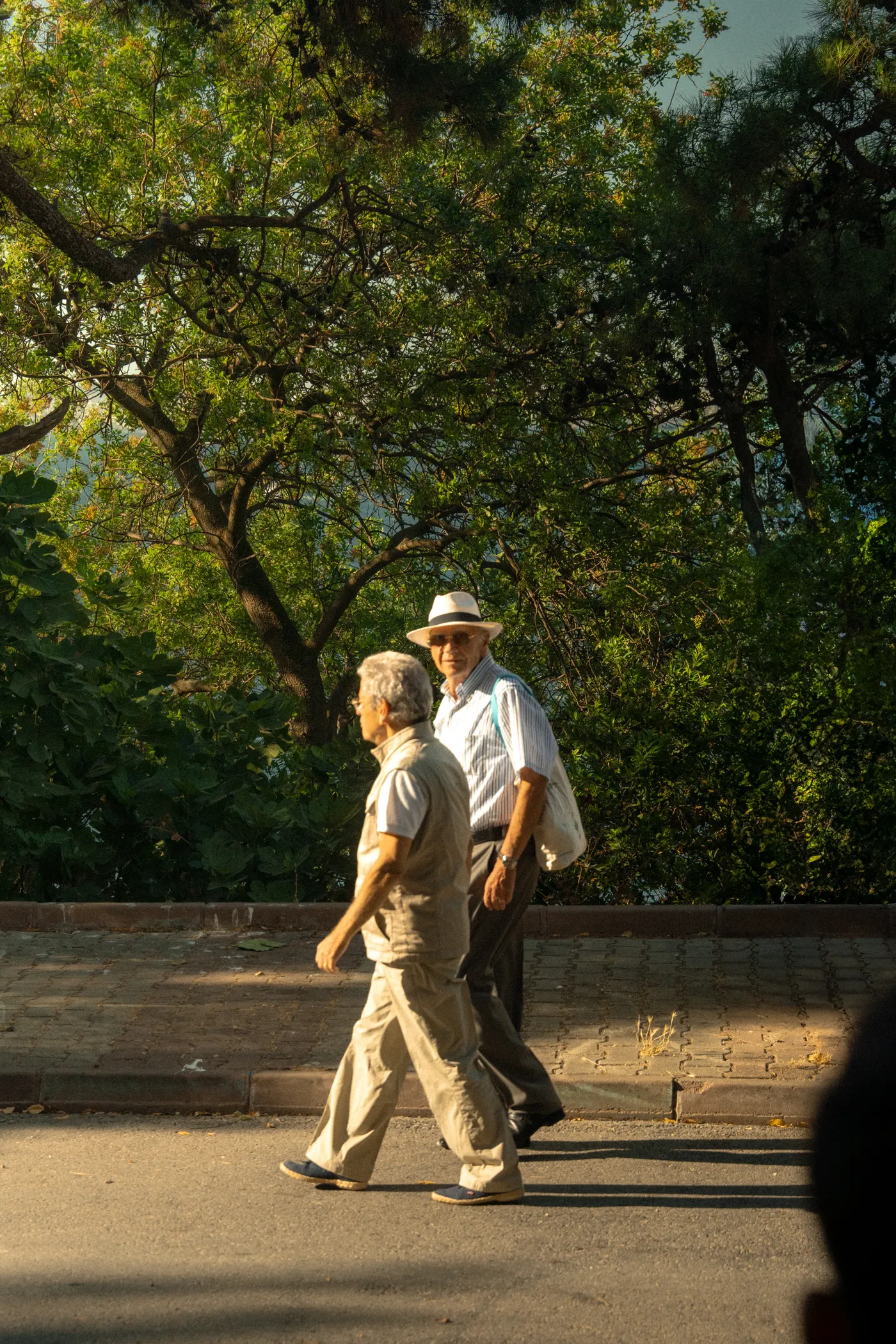 Two older men walking together along a tree-lined path