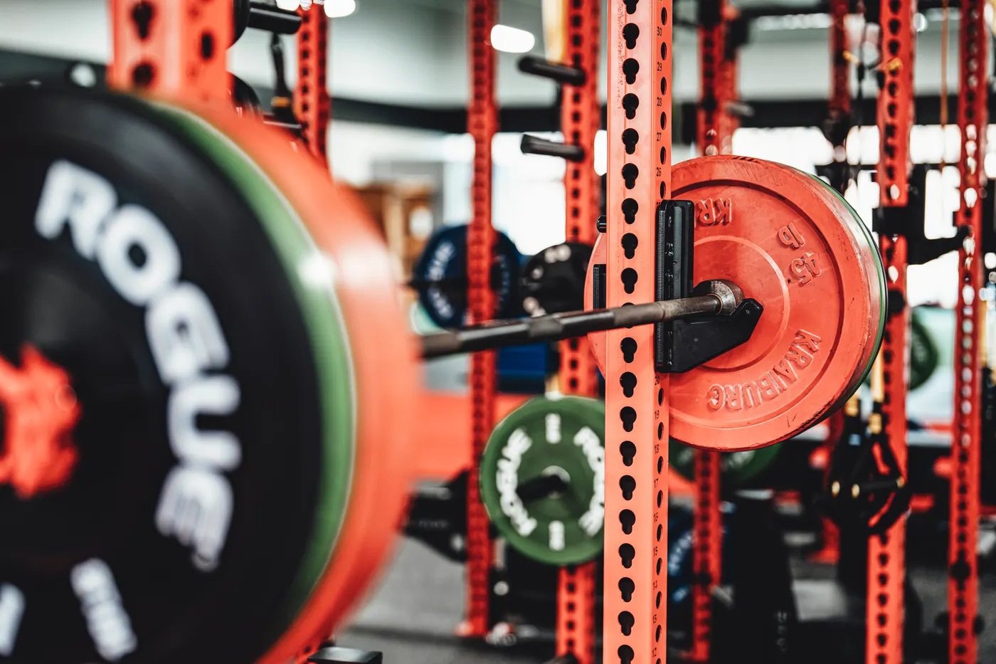 Barbell and plates arranged for training