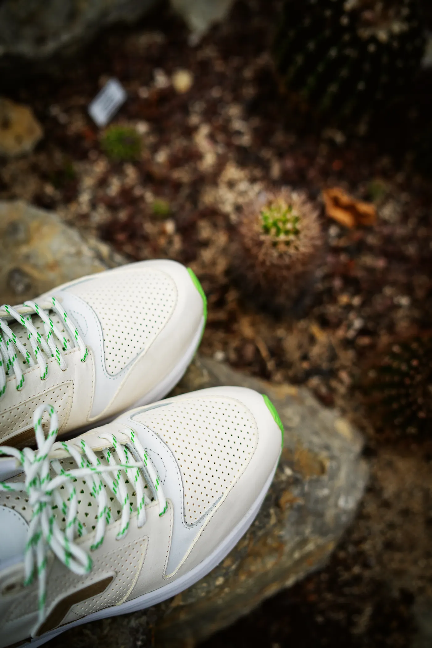 Running shoes resting on rocky terrain near cactus plants